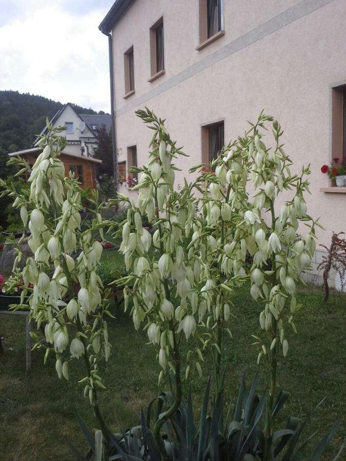 Ferienwohnung Buechsenhof Prossen Kültér fotó